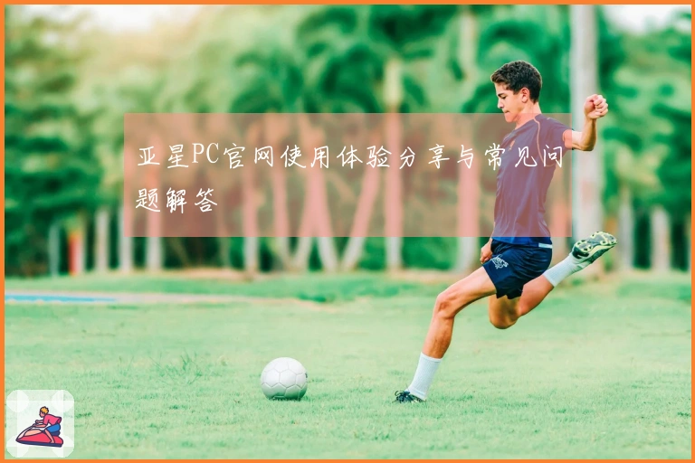 亚星PC官网使用体验分享与常见问题解答