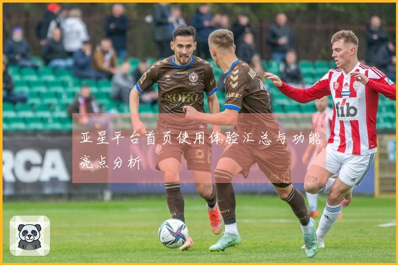 亚星平台首页使用体验汇总与功能亮点分析