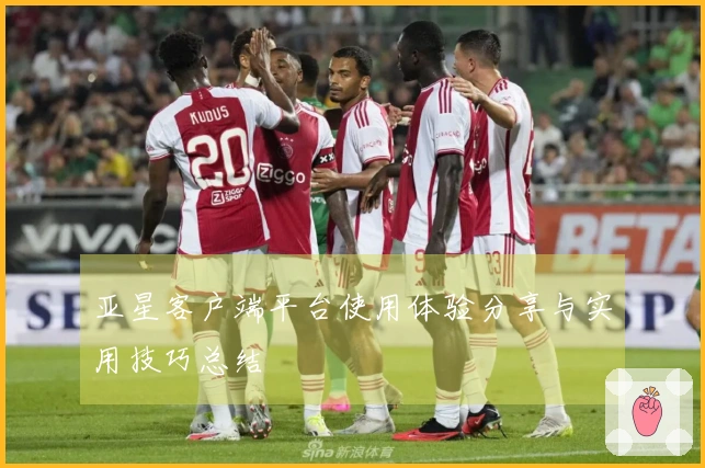 亚星客户端平台使用体验分享与实用技巧总结